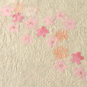 そのこ🐱クラブハート