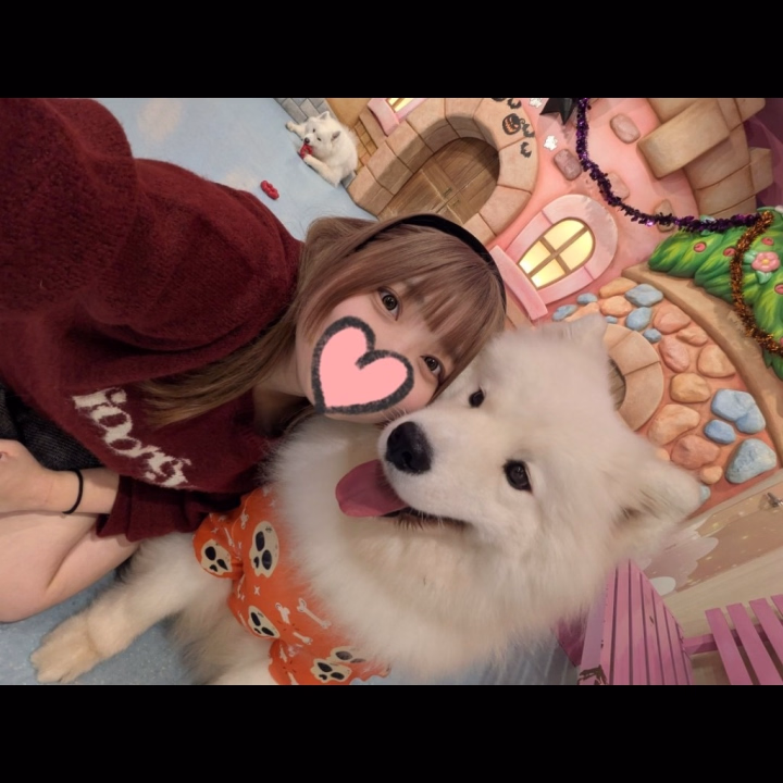 こんばんは！あくあです️🩵

今日はお休みの日なので、サモエドさんに会ってきました！！もっふもふだった☺️

生き物ってやっぱりかわいいですね､私もわんちゃんと生活したいです🦮


明日23日は14時から出勤です！
サモエドさんから受け取ったエネルギー、お兄さん方にも分けてあげる！！
