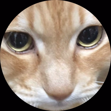 しずき