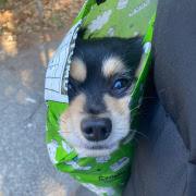 ひかる🍒横浜恋愛グループ／巨乳爆乳専門店／おっぱい／店舗型ヘルス