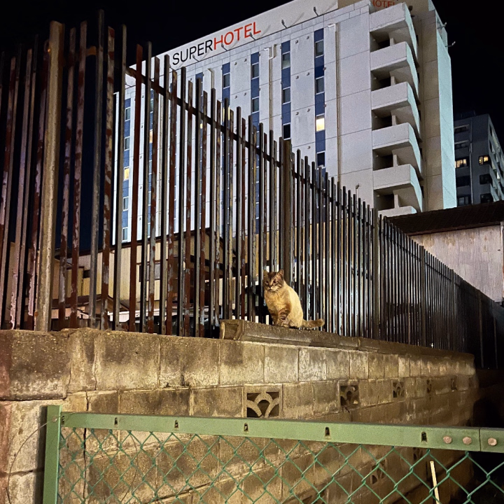 ゆずです(ᴖ ̫ᴖ  )♪
おはようございます

今月の出勤はこの4日で終わりなので
お誘いお待ちしております🌟


ニコニコかつ濃厚なえっちしましょうねꢏꢷ^ᴗ ̫ ᴗ^♡♡


ゆず
