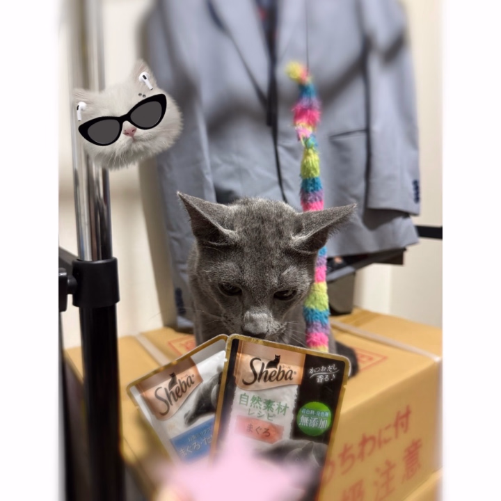お兄様がくれたプレゼントえびすくんに渡せたっ😊❣️

TikTok上がると思うので
チェックしてみてね(,,- -,,)💕︎
