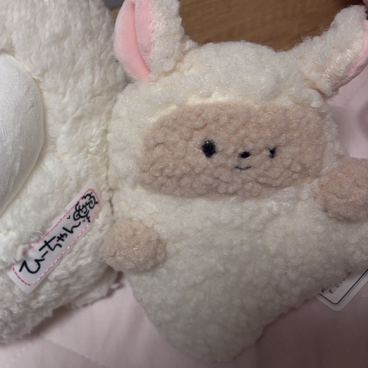 🐏
今日はYouTubeの撮影いてきます‼️

金曜日からは
˗ˏˋ 米子 ˎˊ˗

姫予約・webどちらも解放中です🥰