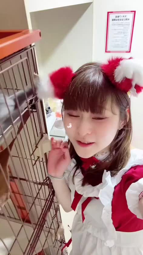 3月はえびすと出会えたことが嬉しかった🐈
きゃわゆいっ💕