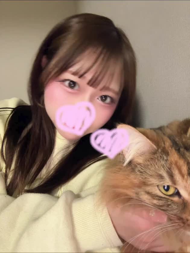 ゆあの相棒🐱🩷🩷
