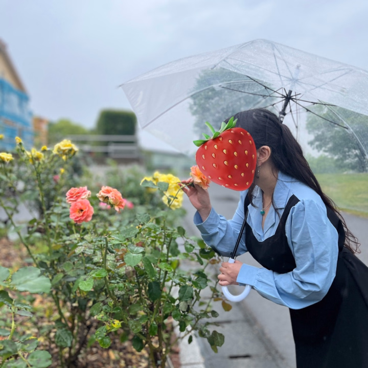好きな花は
ネモフィラですね(*´ω｀*)

昔は彼岸花が好きだったんです(*´ω`*)
怖いイメージが多いのですが
昔から惹かれてて
花言葉を見てさらに好きになった花でした╰(*´︶`*)╯

ネモフィラは完全にビジュ振りなんですが
逆に少し切なくなるんですよね( ；∀；)