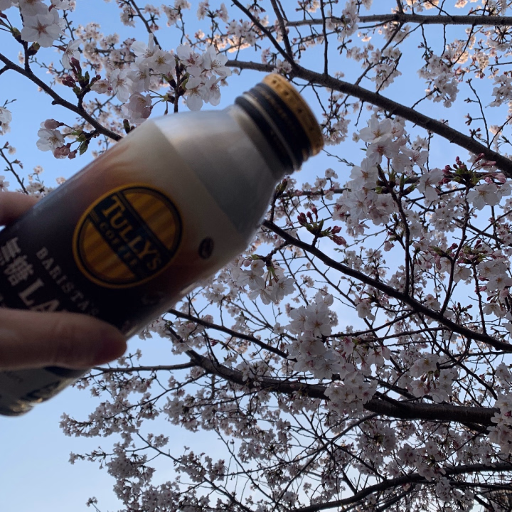 一人のんびり花見(*´ω`*)

花見会場の屋台も捨てがたいですが
なんて事ない公園で
ぼーっと見る花見が
時間がゆっくり流れる気がして
私は好きですね(￣∀￣)