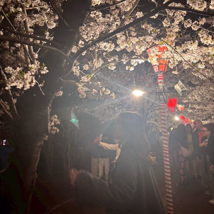 お友達と桜見に行ったときの!🌸
今日コスプレ倶楽部の感謝祭いてます🙌🙌
お誘いお待ちしております❣️