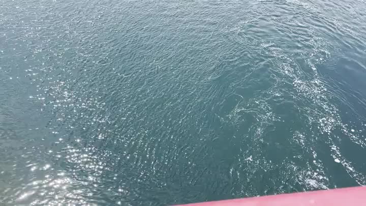 見られたかなー？



日本三大清流の一つ四万十川です！！



こんな天気だけど、見てくれた方の心が晴れますように🌞



ゆっくりしてね(⑉• •⑉)❤︎



明日は晴れるみたいだよー☀️🌈







今日たくさんお誘いありがとうございます(⑉• •⑉)❤︎

先ほどのお兄様お気をつけてお帰りくださいね〜またいっぱい笑お🫶🏻︎💕︎︎





ホントのこと言うとね

こんな夜はもっとエロエロしたいの(ฅ> <ฅ)///

ぱんぱんしてくれるお兄様いないかな♡

23時まで受付してます🫣💕