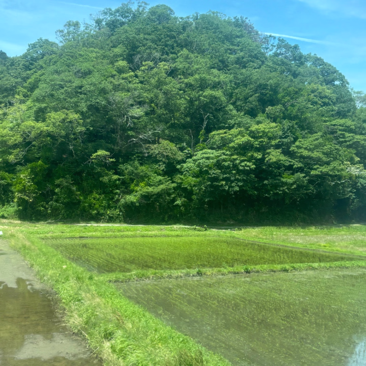 元気に向かってまーす！
気持ち良すぎる天気でひとりでテンション上がってますw

今日はいわきのお祭りだとか😳
人たくさんいますかねー✨

車とかも混み合いそうなので、おいでの際はお気をつけてお越しください🥰
ではでは後ほどお会いしましょう💕