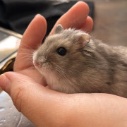 あじゅ👶🏻