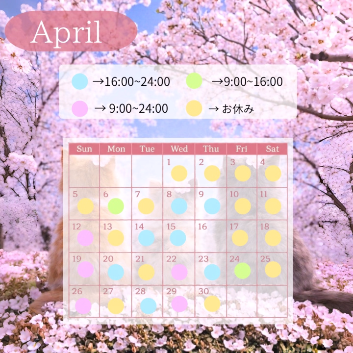 こんにちは！つむです🐹🌻
今日は16:00~24:00出勤です！

お仕事終わりのお兄さんも、旅行や出張で来てるお兄さんもつむに癒されに来てくれたら嬉しいです💕

後半の出勤予定載せるの忘れてました💦ごめんなさい🥲
今月はあと5日しか出勤しないので、タイミング合うときにお誕生日のお祝いしに来てくれたらすごく嬉しいです🥹🎂