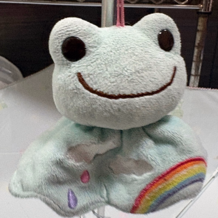 雨だね〜☔️

うちのカエルさん出動です✨️🐸

小さい頃🐸飼ってた事あるんだ〜


ウリえるとミかえるとガブリえるって名前だった🤣🤣


小さいアマガエルでニコニコしてて可愛いかったの🐸💕


🐍はほんとに昔から無理なんだけど、、、
今じゃ🐸も触れるかも微妙だなぁ🤔


小さい頃って本当になんでも無敵だよね、ある意味無知ってすごいよ😱


カブトムシとかもよく飼えてたな〜と思う！！
ダンゴムシ素手で捕まえたりしてたもん‪(´•ᴗ• ก )‬


ではでは…！

このあとも会いに来てね〜🐸🐸🐸