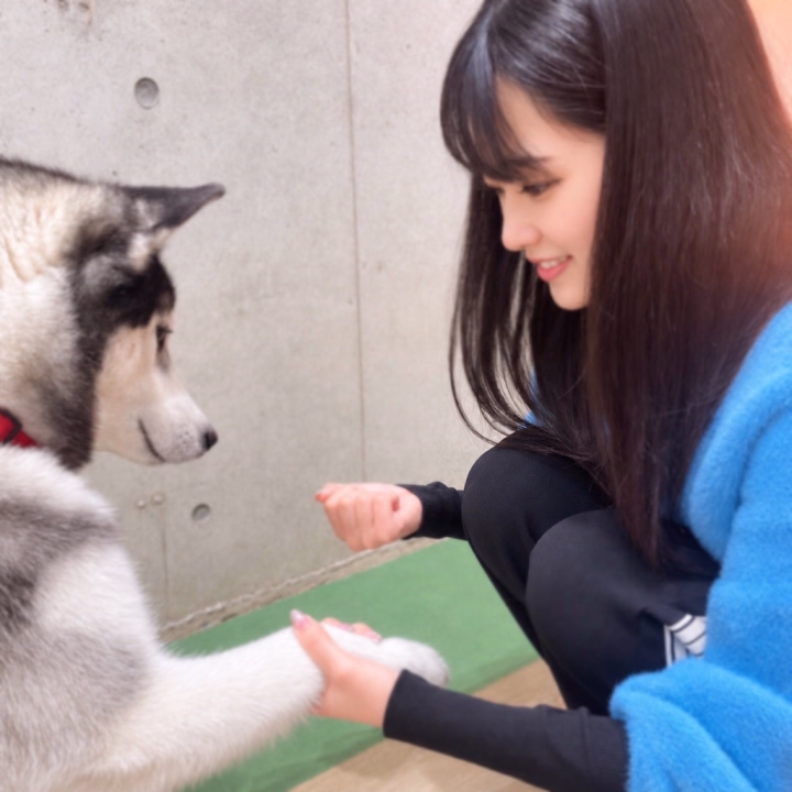 こんばんは🌝
ｺﾖﾐﾁｬﾝです🌸

5月も素敵な出会いと再会を
ありがとうございました💐

もう6月⁉️👀
信じられない😧
毎日があっという間です‪💧‬

今日は急遽の早退ごめんなさい😢
不注意で右手の小指のお爪をﾊﾞｷｯ……と💥
涙ちょちょぎれました🥹🥹🥹

すぐにスタッフさんが絆創膏持って
お部屋に駆けつけてくれて
ここぞとばかりに
痛いの‼️と見せびらかしておきました😌笑

早退後すぐにネイルサロンに行けたので
無事に補強してもらえてお直し済みです💅
ついでに新しい色に変えてきました✨️

何色でしょうか〜🎶
お会いしてからのお楽しみ🌈

今夜からチャンミー(台風)来てますからね🌪
皆さま身の安全を最優先に
どうかご無理なさらずお過ごしください🪄

ｺｯｿﾘお知らせですが
今月から平日は13:00~の出勤が多くなりました💖

シフトの時間外でも
ご希望あれば調整するので
ヒメチャンネルのトークにてお気軽にご相談ください💌

お写真はハスキーカフェに行ったとき🐶
マーモットカフェにも行ってみたいです🦫

それではgn〜🌟

こよみ