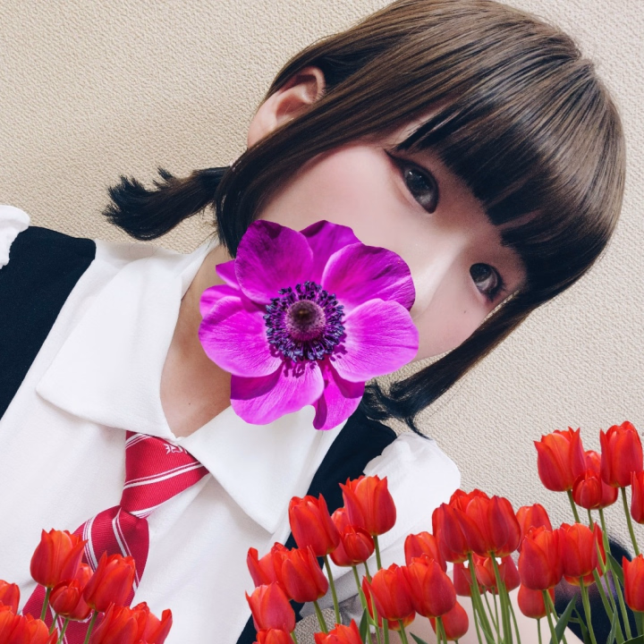 昨日、女の子達と髪くくって遊んでたのꉂꉂ🐱

楽しかったのでパシャリ📸