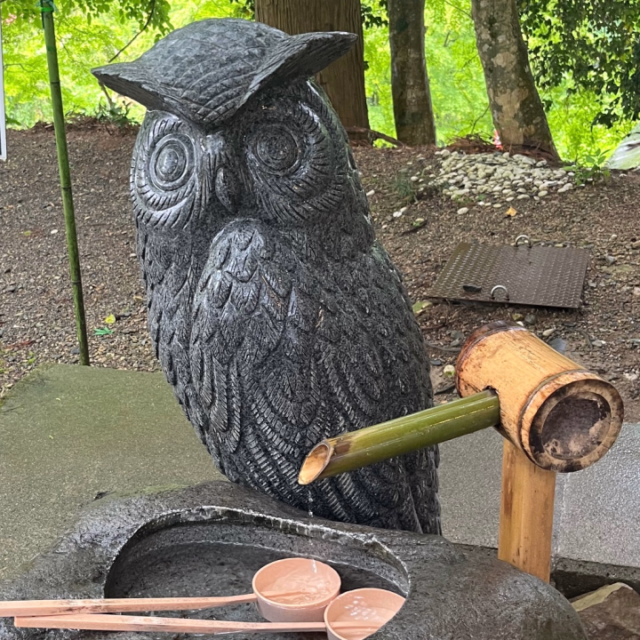 先日お出かけ🚗 ³₃してきました(っ`ᵕ´c)
フクロウ🦉が沢山いる神社⛩
ぜーんぶ撫で撫でヾ(･ω･`*)してたら
結構時間かかった笑
でも不苦労らしいので気持ち込めて
撫で撫で( * ॑꒳ ॑*)۶"
たまの晴れ間除草剤撒くか悩み🤔💭ちゅ〜( * ´ ³`)