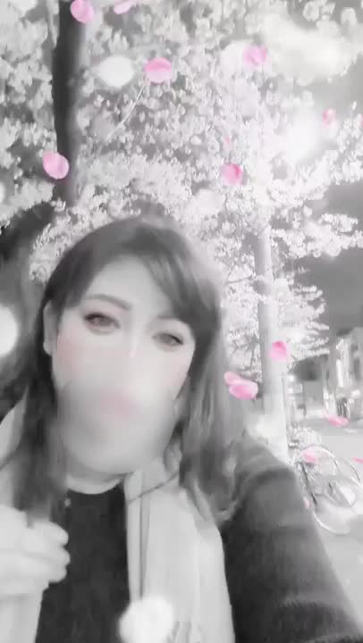 昨日、帰る時にお店前の吉原公園の桜が綺麗に満開だったので撮ってみました🌸💓