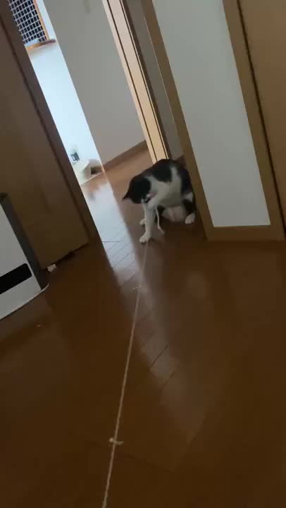 荒ぶるもんさん🥺