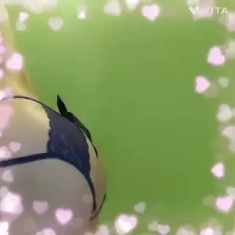 こんにちは✨
出勤してました😊
本日も遊びに来てくれて
ありがとうございます😊
あと少しですが
お待ちしています(○･ω･)ﾉ