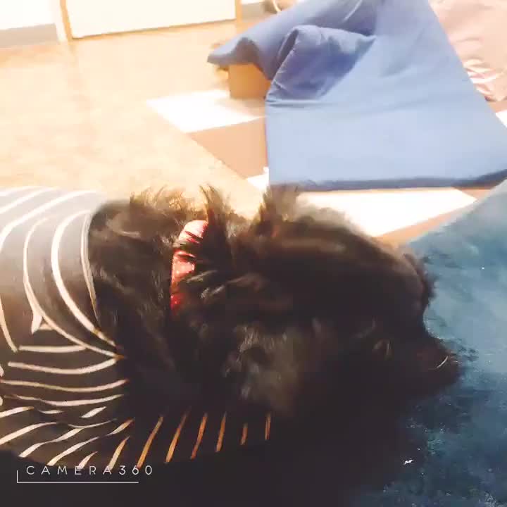 あんこちゃん❤おやつターイム😍