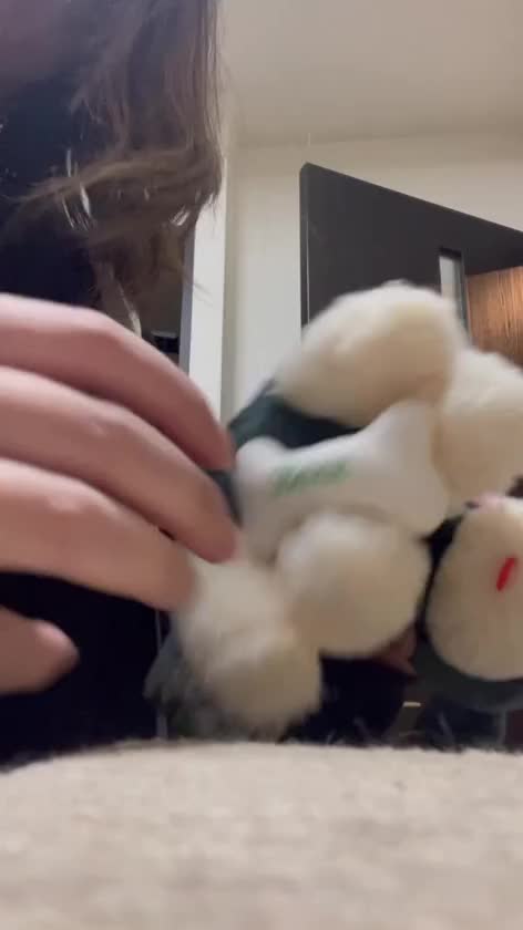 さっきの続きですが
このハムスターちゃん

可愛かったんだよねぇ♡


休憩スペースに頭から突っ込んで
おしり見えてるの
とても良い、可愛い૮ . ̫ . ა ⸝꙳


あとはちょっとした
動物のぬいぐるみの
クレーンゲームがあって

取れたんですよ無事✨

せっかくなので動画にしました笑


ぜひ音声ありで
見てみてね(๑•̀ㅂ•́)و✧







しゃけ