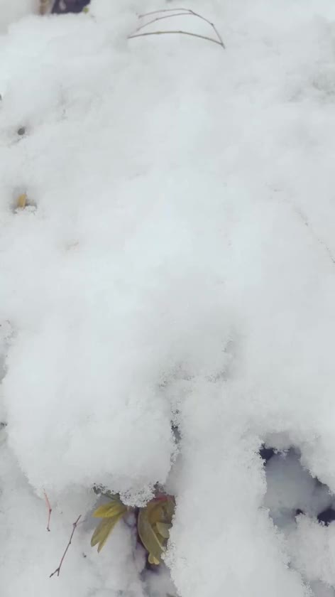 ひーーーーさしぶりの動画です🌷

全然えろじゃありません😂
声をちょこっと。


寒かったー！！
でも雪にテンションあがっちゃって午前中は雪の中お買い物に🛍

それにしてもまだ寒い⛄️

みなさんも暖かくして過ごしてね🥰


🌷久しぶりに出したカバンの中から千円札２枚と小銭ジャラジャラ出てきてラッキー🤩なおとのでした！まぁ出処もわたしなんだけど笑🌷