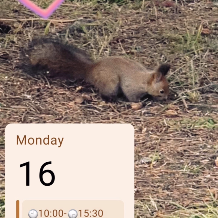 こんばんは！
いつもお久しぶりです！
明日10時〜15時半で出勤させてもらうことになりました！🙇

最近自信喪失で
明日も久しぶりの出勤で不安だけど
エロは世界を救うをモットーに
楽しく過ごそうと思います！🥰
明日お時間ありましたら
久しぶりにあいのと遊んでください☺️