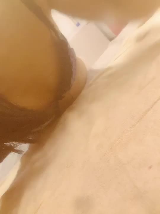 お気に入り