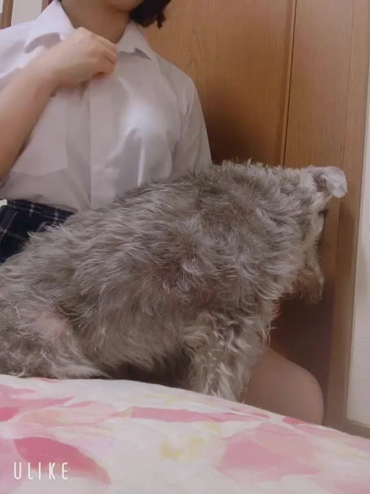 お着替え