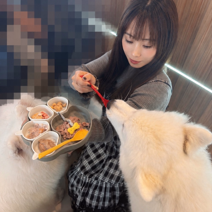 最近はサモエドカフェに行きました🐶
オヤツのちからで
もてもてのにこちゃんです(๑•̀ㅁ•́ฅ✨