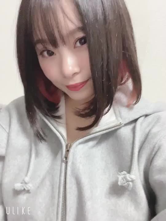 パーカーから出てくる⁉️とうふ🐱声出すなって言ったのに😡