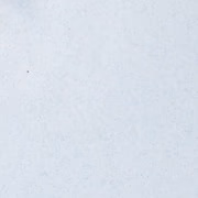 てすと