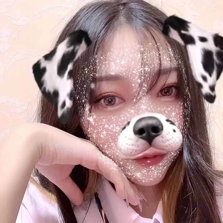🐶🐶🐶
