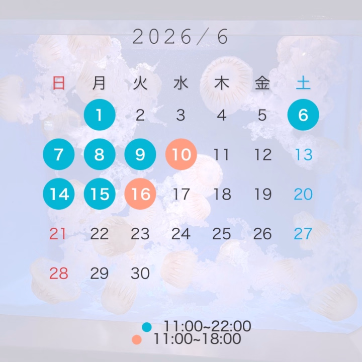 今日も無事に終わりました❣️
会いに来てくださったお兄様方、本当にありがとうございます🙇🏻‍♀️‪‪💕
差し入れも美味しく頂きますね😋✨️
 
そして明日から6月…ということで早速シフト提出しました❣️
 
仲良しのお兄様、気になってくれているお兄様、日程合う日がありましたらぜひ一緒に過ごせたら嬉しいです🥰
 
今日もアンケートに暖かい言葉を頂きましてありがとうございました😭✨️
とりあえず明日で一旦終わりなので気合い入れて頑張ります💪🔥
 
明日もよろしくね💕︎
 
おやすみなさいっ🎶
 
ちさと💖
