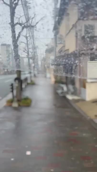 雪やばーい！
