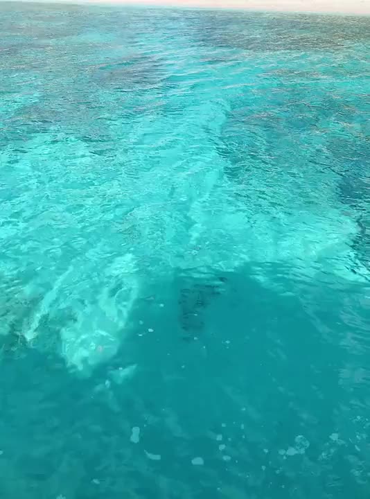 寒い東京から避難🏝⛱✨