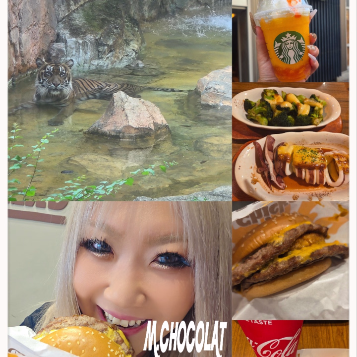 毎日暑くなってきたねー！！
皆さん、水分しっかりとって無理ないようにね💙

夏になると特に活発になるショコラだから、こないだ動物園にも行ってきたけど夏は動物達も暑くてお外にはほとんど居なかったぁー🥺
だけどトラと目が合って、この写真の後こっちに向かってきたのー！！！
威嚇のポーズとられた後に勢いよく向かってきたけどねー笑
かわいすぎる🐅🖤

あと、バーガーキングの美味しいって聞いて早速食べた😋
ダブルビーフ＆ハッシュ ビッグマウスダーティ！！
まぁじで美味しかったぁぁぁ🍔
すんごい久しぶりにバーガーキング食べたけど最高でしたっ❤️‍🔥
チリビーンズのポテトも大好きだし！
しばらくバーガー食べるならバーキンになっちゃうな🤔

スタバの新しいフラペチーノのも美味しすぎてリピありありですっ🥭🍊
皆さんも是非ーーーーっ💋

ってことで、明日はネイル新しくしてきます💚🩷