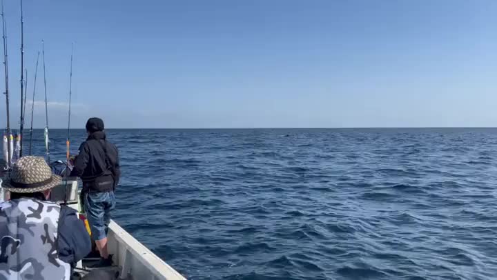 マグロ男子を釣りにいざ！海へ♪