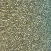 じゅんな