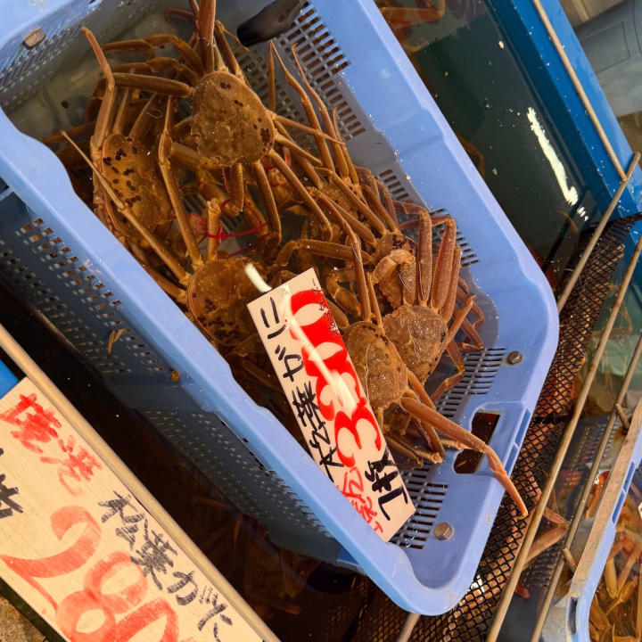 松葉ガニ🦀どうしても食べたくて
市場に行きました🦀( '-' 🦀 )ｶﾆﾁｬﾝ

生のカニ、しゃぶしゃぶにして
焼きガニにして、カニ味噌つけて
最高に美味しすぎました🤤
頭おかしくなるね( ˙꒳​˙  )

鳥取冬の風物詩も堪能です！