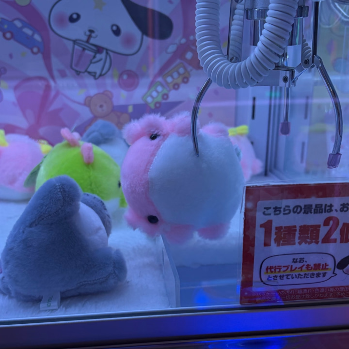こんばんは〜えまだよ🫶

この前ゲーセン行ってきた！🥰

欲しいぬいぐるみがあって10分くらい粘ってたんだけど全然取れなくて🥺笑

そしたら店員さんが補助してくれて、ついにゲットできた〜！！😳✨

めちゃくちゃ嬉しかったし、何よりちょうかわいい😽💕
しばらくお部屋に飾って眺める予定♡