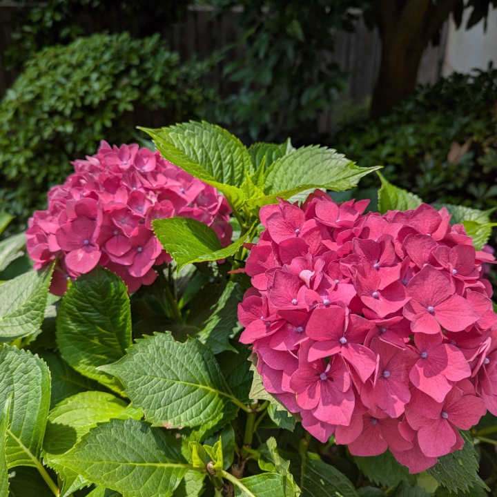 梅雨入りしましたねぇ〜