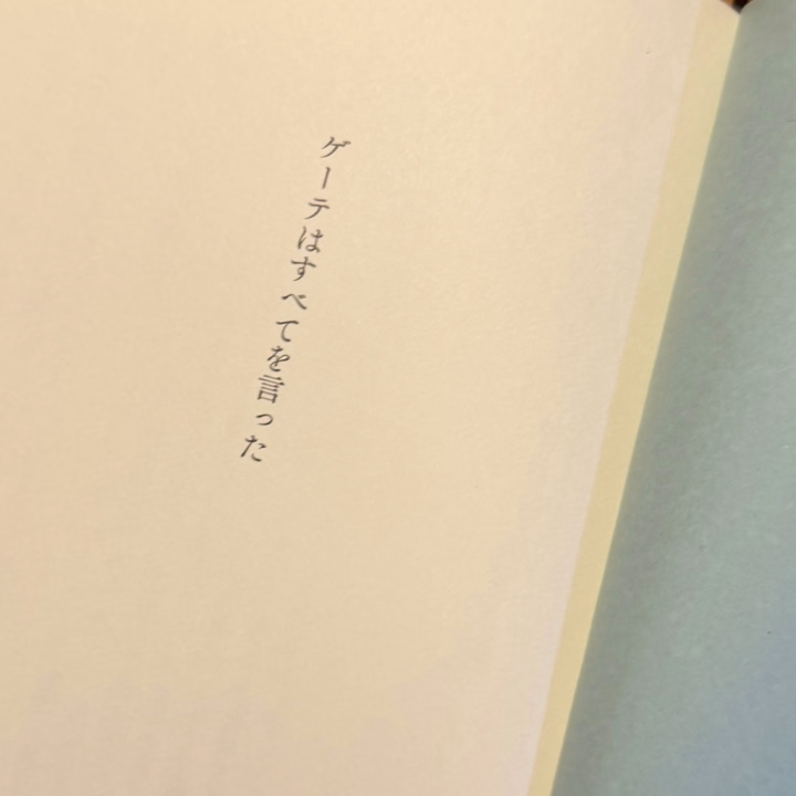 最近読んでいる本です。
小説はあまり好きじゃないので普段読まないのですが、友達におすすめしてもらったので…

ゲーテの書籍はいくつか読んだことがありますし、何ならゲーテの家にも行ったことがあるので(友達か)

あとこの前新聞を読んでいたらゲーテの特集がされており、かなり興味深かったです。
人生に疲れてイタリアに逃亡、イタリアに影響を受けた作品が多いということを初めて知りました。

私もイタリアに逃亡したい…