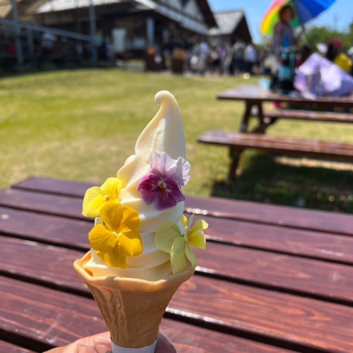 お疲れ様です🍵

少し曇り空ですね‎ᴖ  ̫ ᴖ

本日13時からの受付です💐

📞‪‪ ̖́-  お待ちしております┏○ﾍﾟｺｯ

              みさき𓂃🌸𓈒𓏸