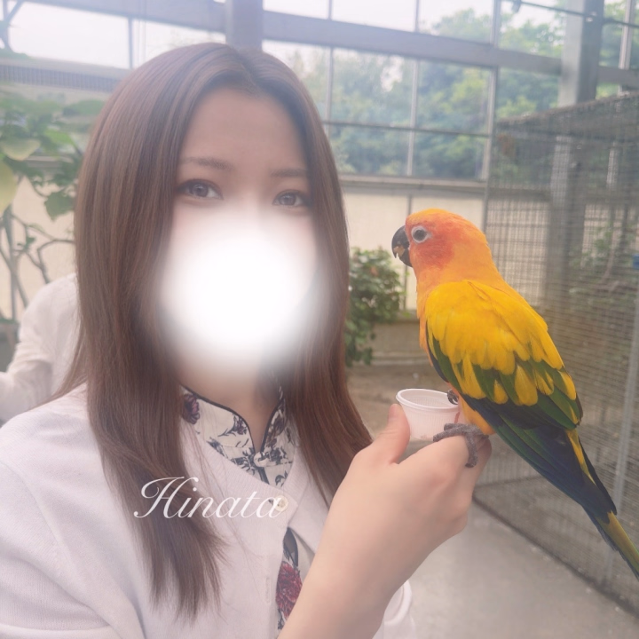 先日、お友達とプチ旅行してきました🚄💭

新幹線乗るのいつぶり？っていうぐらい乗っていなかったので、乗り方とか不安だらけだったけど無事行けました！
新幹線で駅弁食べる夢も叶って嬉しかったなぁ☺️✨️



大好きな鳥と触れ合えたのでエネルギーチャージしっかりとできました！一生懸命食べてる姿可愛かったぁ(⸝⸝⸝◜  ◝⸝⸝⸝)♡




次は金沢とかに一人旅してみたいな…！新鮮なお魚いっぱいありそう🐟
旅行慣れしてる方がいたらぜひ、色々とアドバイスしてほしいです🥺







ではでは、
本日もよろしくお願いします🌟







ひなた💐🤍