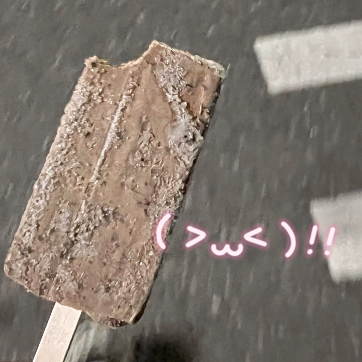 おはようございます☀️
アイス🍨だいすきめろりです

本日⬇️
⇒5日（火）12:00~24:00

GWはじまりましたね！
みなさまいかがお過ごしですか👂🏻"

昨日はGWのはじまりだったのに
たくさんの方とお会いすることができて、
めろりはと〜っても嬉しかったです🫶🏻🎀ིྀ

本日もたくさんご予約いただいており、感謝感謝です🙂‍↕️

GWの思い出にめろりを添えてみませんかっ！
今日もお待ちしております🫧ྀི

⇒5月前半までの出勤予定日⬇️
10日（日）12:00~24:00

5月後半シフトは後から追加予定です🙇🏻
会いに来てくれるのまってます🐑ྀི🪽ྀི