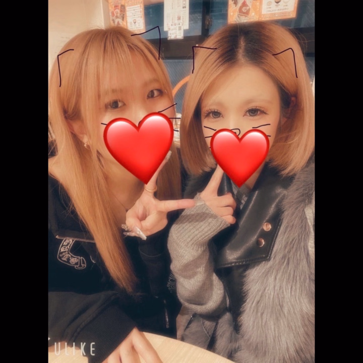 しゅーきんしてるにゃんにゃんこ