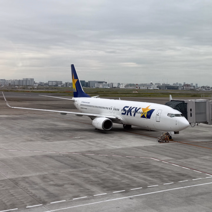 🍬 ぐみです 🍬
昨日、米子から東京へ戻り✈️💗
帰宅早々、自分の荷解き&荷造りに
ホテルにお泊まりする猫さまたちの
荷造りまで済ませて…🐈🐾
今度は母たちと家族旅行へ
行ってきま〜すっ✈️💨💕
家族で国内旅行って
実は初めてなので楽しみっ🥰✨️
米子でこじらせてしまった体調も
まだ少し名残はありますが
びっくりするほど回復してきました😳💗
相変わらず鼻声ではありますが😂笑
そして、
💌お問い合わせについてのお知らせです💌
ご予約以外のお問い合わせやご相談は
10/16(金)以降、順番にお返事させていただきます🙇🏻♀️
少しお時間をいただいてしまいますが
お待ちいただけたら嬉しいです🥹💗
しばらくお休みをいただくので
まだ万全ではない体調も労わりつつ
ゆっくりリフレッシュしてきます🤭💐
また旅先から日記も更新しますねっ🤭🌸
それではっ!
行ってきま〜す✈️🫧💕