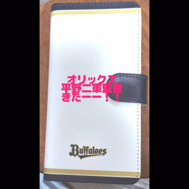 おにーさまがた、おっはようございます！
朝っぱらから野球臭くてごめんなさい(笑)

今季で現役を引退した、平野佳寿さんが、コーチ兼任選手から、二軍監督へ！
もー！最近オリックスに関しては嫌なニュースばかりだったから。
めちゃくちゃ嬉しいです！
一軍監督のマモさんとは一緒に戦ってきた仲間ですから。平野さんは。
一軍と二軍の連係が取りやすくなるんじゃないでしょうか？！

もー！ガッツしか勝たん！じゃないけど、ワクワクしか勝たん！
ストーブリーグも楽しみいっぱいな野球日和です♥
