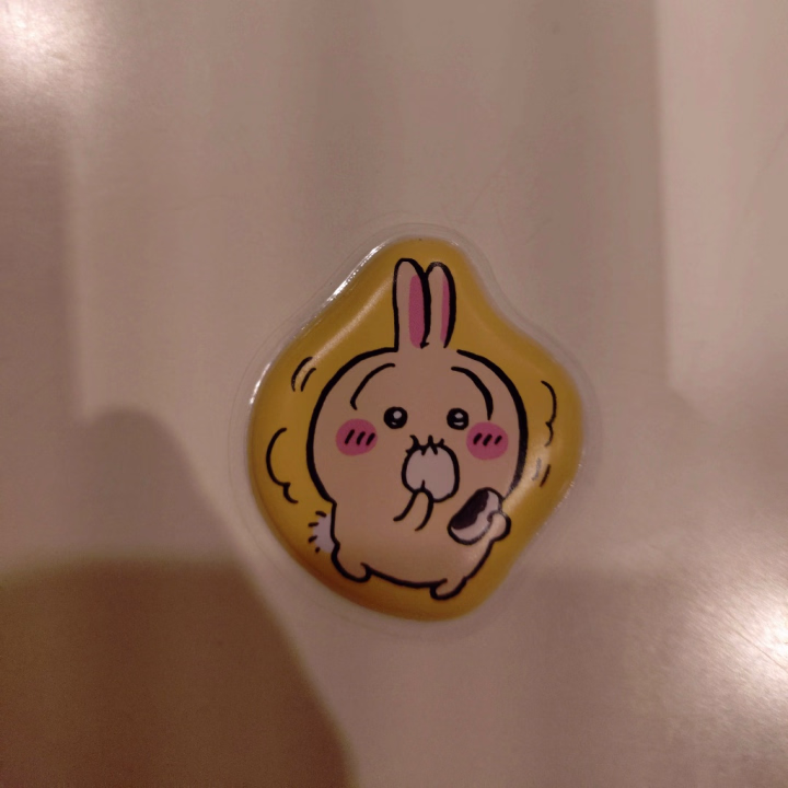 今日初めて出会えたのは、ちいかわ好きなおにーさん♥
即パクオプション選んでくれたから、出会って挨拶もそこそこに、おいしそうなおち◯ぽをぱくり♥
なめなめしたら凄く固く屹立してきて⋯
エロティックな気分に満ち溢れました(〃ω〃)

シャワーを浴びて、いざベッドへ⋯
また、おち◯ぽをなめなめしたり、おにーさんの乳首もぺろぺろ、刺激を与えたり⋯
気持ちいいって言ってくれる度に、嬉しくなってもっと刺激しちゃう♥

最後は手コキとフェラで、お口の中に出された白濁をごっくん(〃ω〃)
おいしかったです♥

その後はソファでお喋り🎵
ちいかわについての話で大分盛り上がったよね！
私の好きなウサギのグッズも戴いちゃいました(⁠≧⁠▽⁠≦⁠)
大切にするね🎵
胸の話や、服の話や、話が尽きない楽しい時間でした！
タイミングが合ったらまた是非会いたいな♥